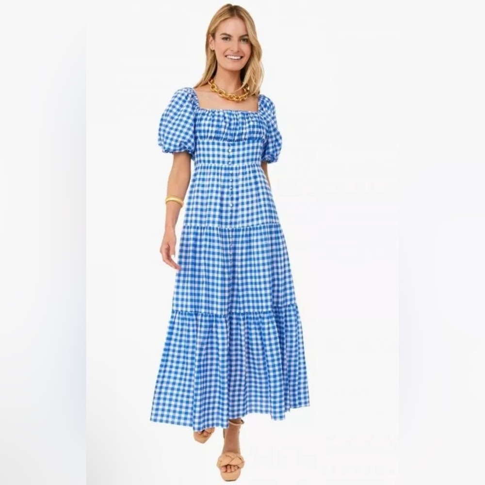 Tuckernuck Blue Gingham Maxi Dress